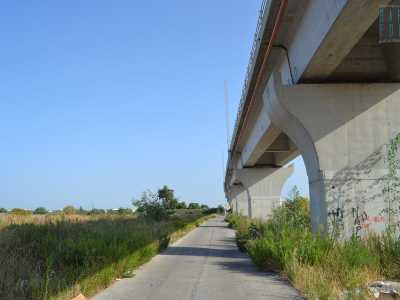 La stradina che costeggia la tratta sopraelevata della Ferrovia Bari Bitritto e il canale Picone, costellata di rifiuti. Questa stradina, oggi senza uscita, arrivava un tempo fino a Carbonara 