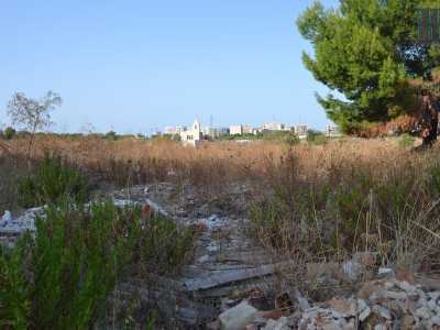 Il sentiero che porta alla chiesetta � coperto da folta vegetazione e detriti edili, tra cui amianto