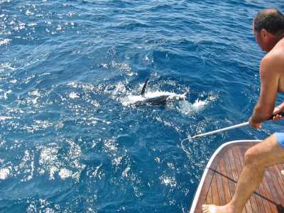 47� Campionato italiano di pesca a traina: foto scattata a largo nelle acque di Mola di Bari