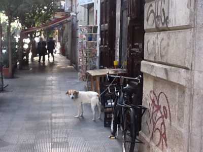 Bari, la bottega del collezionismo