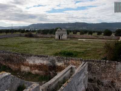 E' una delle chiese pi� antiche di tutta la Puglia e racchiude al suo interno un memorabile e suggestivo ciclo di affreschi. Parliamo del Tempietto di San Pietro Veterano di Fasano, meglio conosciuto come �Seppannibale�