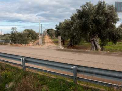 Seppanibale (che prende il soprannome dal suo storico proprietario, Giuseppe Annibale Indelli) si trova in contrada Fascianiello, sulla vecchia strada che collegando Fasano a Monopoli corre parallela alla statale 16. Qui � presente un viale sterrato introdotto da due colonne che ci conduce a destinazione
