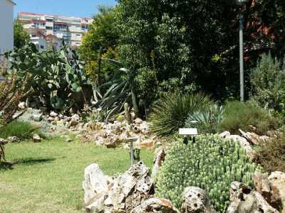 Area dedicata alle piante grasse della macchia mediterranea