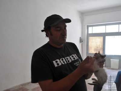 L'asilo per gatti di Mario de Giglio