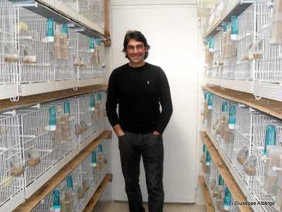 Giuseppe Albergo con le sue voliere