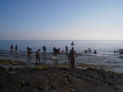 Alcuni sub rientrano dall'immersione