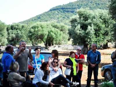 Ulivi monumentali, manifestazione a Cisternino