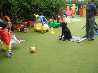 La Pet Therapy