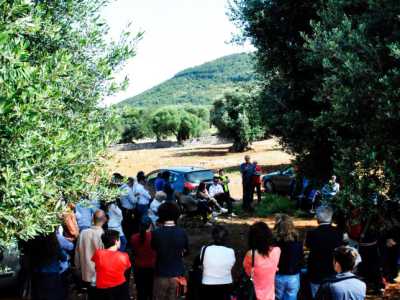 Ulivi monumentali, manifestazione a Cisternino