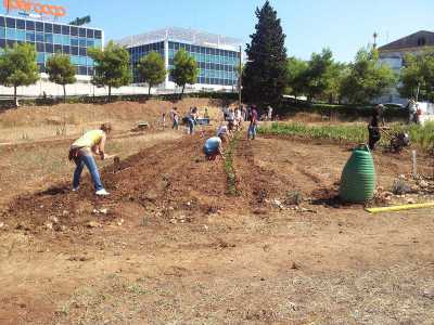 Volontari al lavoro nell'orto