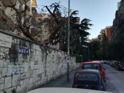 A partire dall�inizio degli anni 60 tutto cambia: la famiglia Amoruso Manzari, proprietaria della maggior parte dei terreni qui presenti decide di investire nel cemento. Si aprono strade e vengono costruiti nuovi appartamenti circondati da verde e cortili  
