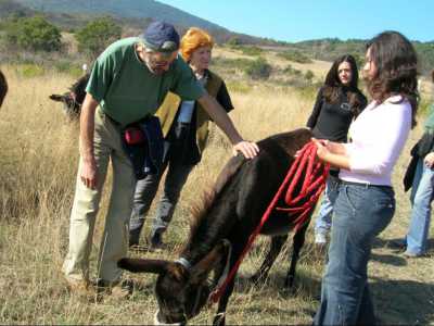 L'onoterapia, ovvero la terapia che coinvolge gli asini