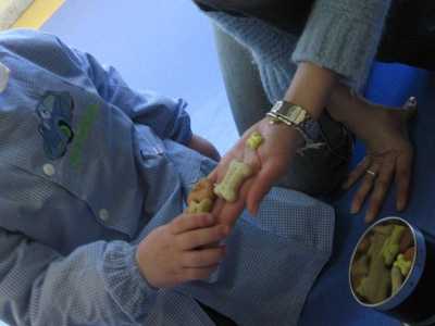 Un bimbo riceve la pappa da dare al cane