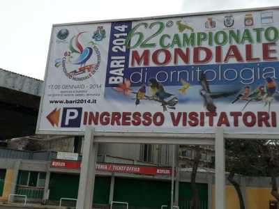 Campionato del Mondo di Ornitologia