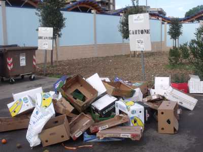 Dov � finito il cassonetto della carta?