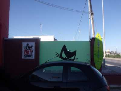 CarSurf, problemi di parcheggio.