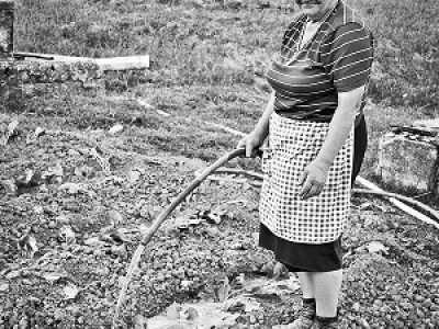 Alcuni scatti del fotografo Beppe Altero