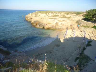 Lido Colonia