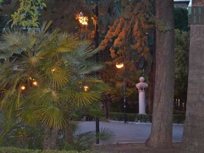 La bella vegetazione di piazza Umberto e l'antica colonna che indicava il museo archeologico presente nell'Ateneo