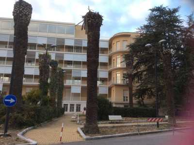 Resti di palme nei giardini del Policlinico