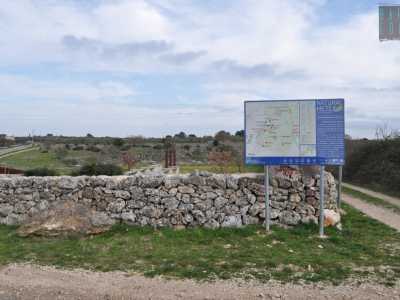 Raggiungere il luogo non � semplice, se non altro perch� mancano le indicazioni stradali necessarie a "guidare" il visitatore verso la meta. L'ingresso dell'area (almeno quello) � contrassegnato da un apposito cartello azzurro