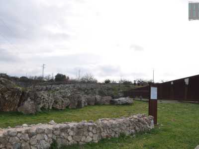 Qui ad attenderci c'� Lorenzo Di Liso, lo speleologo noto per aver ritrovato nel 1993 il celebre scheletro di Homo neanderthalensis noto come "l'Uomo di Altamura". Lo studioso � una delle guide della grotta e subito ci fa strada lungo la passerella metallica che attraversa l'intero sito