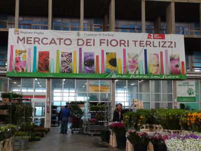 Il mercato dei fiori di Terlizzi