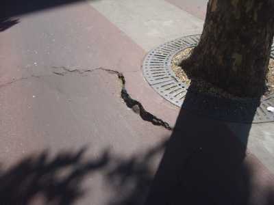 Pista ciclabile Viale Unit� d'Italia - Viale della Repubblica
