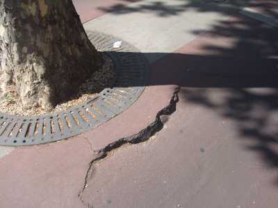 Pista ciclabile Viale Unit� d'Italia - Viale della Repubblica