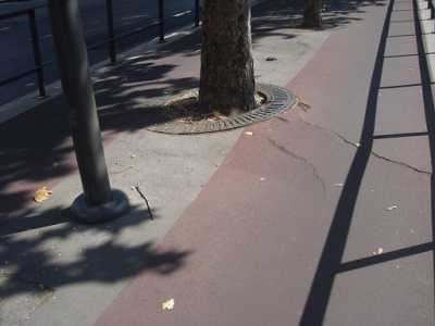 Pista ciclabile Viale Unit� d'Italia - Viale della Repubblica