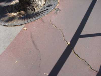 Pista ciclabile Viale Unit� d'Italia - Viale della Repubblica