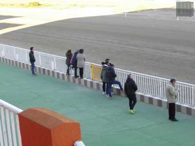 Molti spettatori si spostano pi� vicino alla pista per osservare attentamente la gara