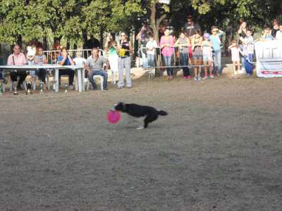 Festa del Cane a Palo del Colle