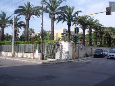 L�edicola che si trova in corso Alcide De Gasperi, ad angolo con via Alberotanza, da qualche mese non � pi� la stessa. Qualcuno ha infatti sfondato con la propria macchina la cancellata alta due metri che proteggeva l�altarino dov�era custodita la statuetta della Madonna di Lourdes, inserita nella riproduzione in pietra della �grotta delle apparizioni�