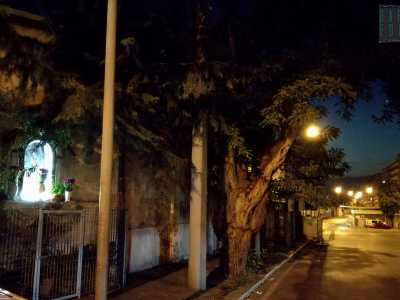 A Bari, tra via Capruzzi e il sottopasso Duca degli Abruzzi, si trova un�edicola illuminata che conserva un�immagine della Madonna Addolorata