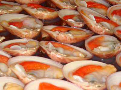I fasolari con le loro tipiche lingue rosse 