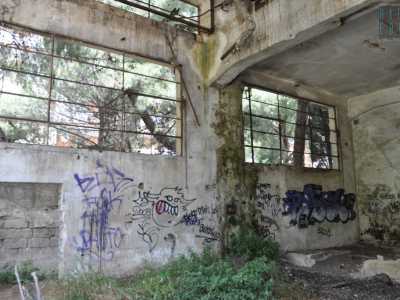Un po� delusi ci avventuriamo alle spalle dell�immobile dove troviamo un ambiente libero, privo di porte e di altre restrizioni. Anche qui i muri sono stati �decorati� da vari graffiti, ma sulla sinistra torreggiano delle grandi vetrate: la luce del giorno filtra dall�alto illuminando tutto il locale e creando uno spettacolo suggestivo