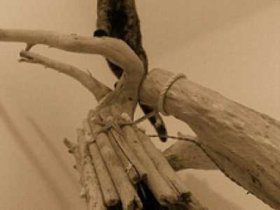 Le sculture di Frank Sisca