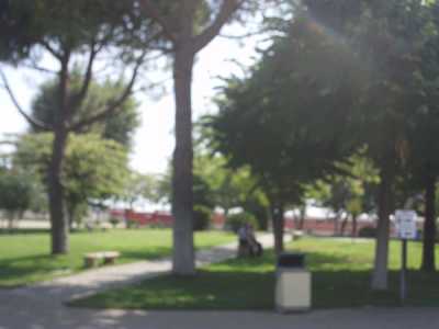 Vista del giardino interno