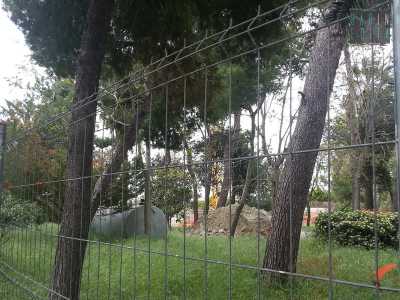 Lavori nella pineta