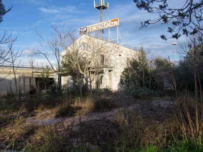 Il giardino incolto che circonda la costruzione 