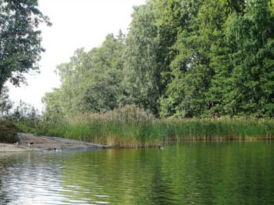 I viaggi di Barinedita: Helsinki