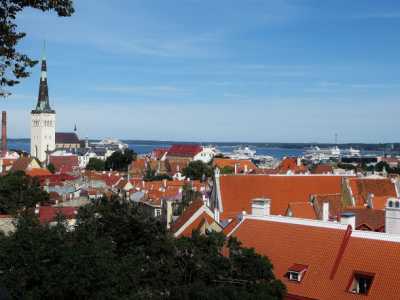 Panorama di Tallinn da uno dei belvedere della citt�