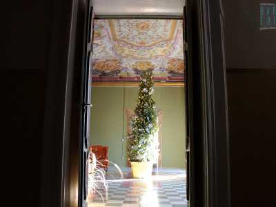 Passiamo per una grande sala che sotto l'ennesimo soffitto affrescato vede innalzarsi un vistoso albero di Natale, elemento di modernit� posizionato in mezzo a tanta storia
