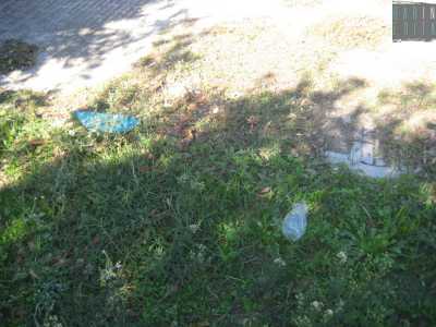 Alcuni rifiuti abbandonati nel prato