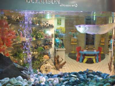 L'acquario di 450 litri del signor Gennaro, propietario di un negozio di acquari a Bari