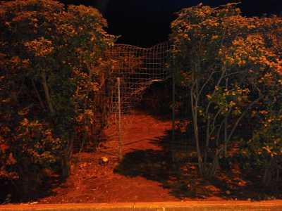 Un altro varco aperto per entrare nel Parco dopo l'orario di chiusura