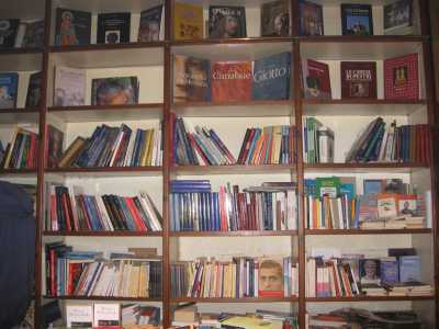I grandi e massicci scaffali che ospitano in cima diversi testi d'arte e saggistica