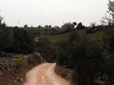 Rutigliano, la chiesa sulla lama