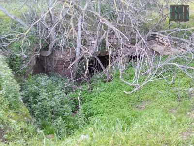 Entrata dell'ipogeo attiguo, ostruito dai rifiuti